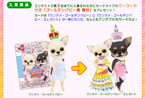 ワンタメカード約450枚(ゴールデンパピー２枚含)コンプリパピブックに入れて ワンタメミュージックチャンネルカード約450枚コンプリパピ