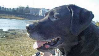 2011.3.25-3.jpg
