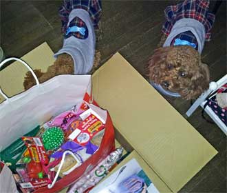 2012.1.1-3.jpg