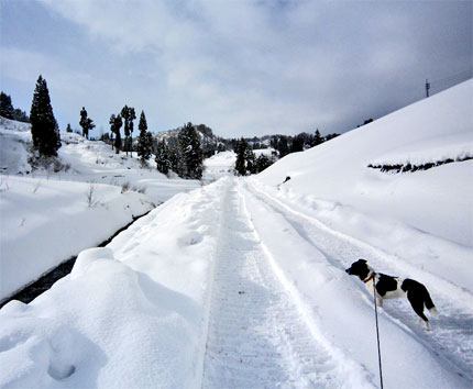 2011.1.7-2.jpg