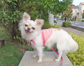 2010.12.15.jpg