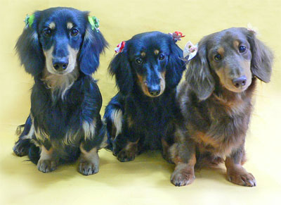 2011.2.16-2.jpg