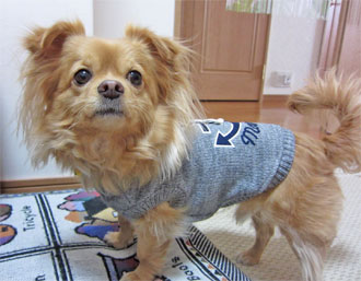 2011.1.17.jpg