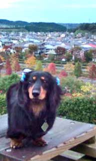 20111025160158.jpg