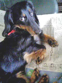 2011.9.18-3.jpg