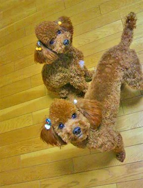 2011.12.21.jpg