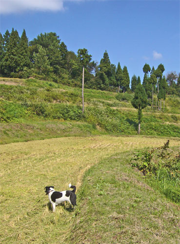 2010.10.30.jpg