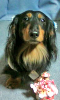 20110211061340.jpg