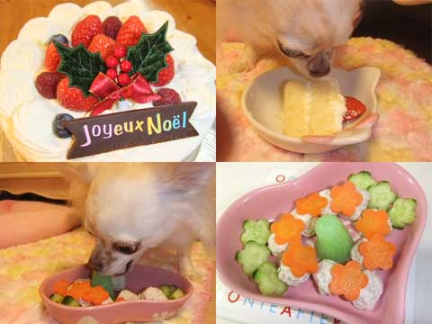 画像-730.jpg
