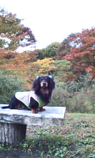 20101102162621.jpg