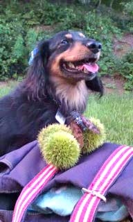 20110906154559.jpg