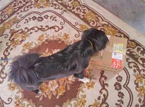 2011.12.16-1.jpg