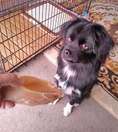 2011.12.16-2.jpg