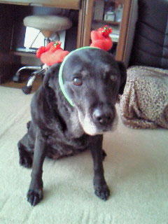 201012181546001.jpg