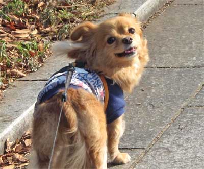 2011.12.31.jpg
