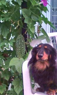 20110823105038.jpg