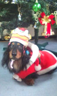 20101203153136.jpg