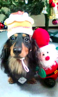 20101203153804.jpg