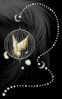 Cantrip master cat's room