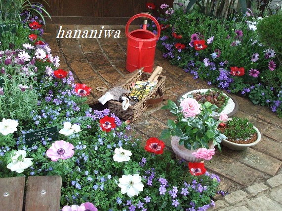 アネモネの春色花壇 ｈａｎａｎｉｗａ 楽天ブログ