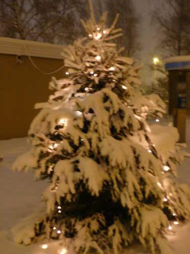 P1010790(2).JPG