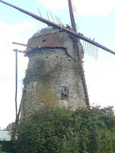 P1010263(1).JPG