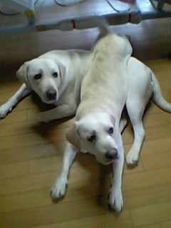 20070121