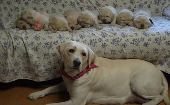 mama