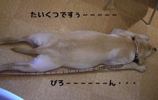 20080616