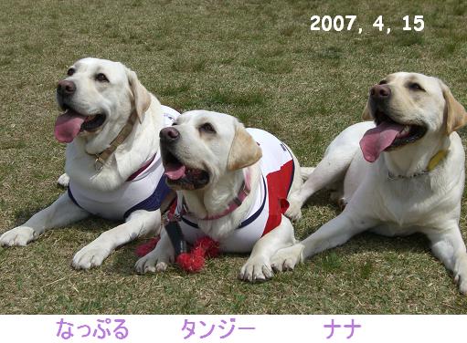 20070415