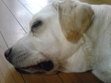 20070506
