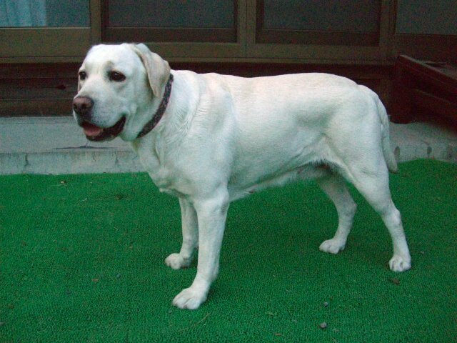 20070430