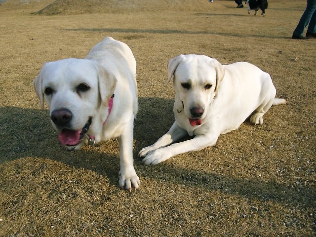 20061217-1