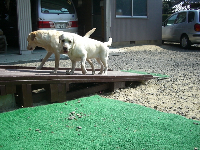 20070322-1