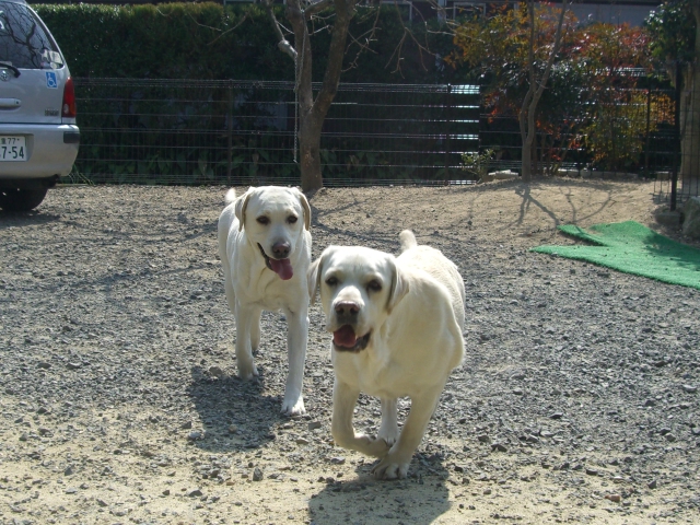 20070321-2
