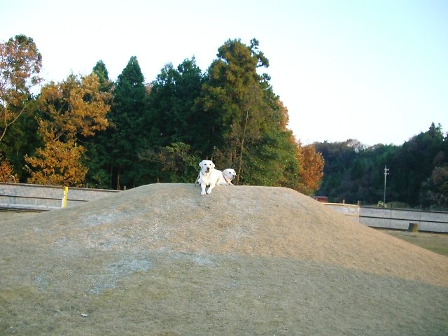 20061217-3