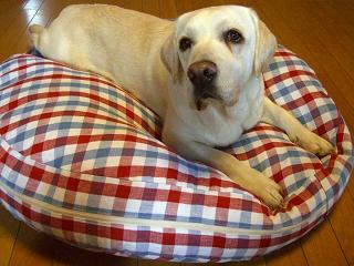 1203bedcover-2