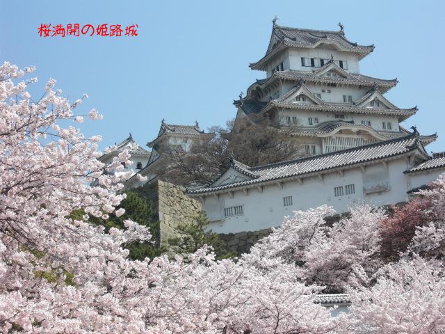姫路城 桜 ラスト・サムライ | オフィス ラジャ - 楽天ブログ