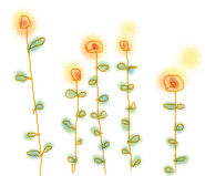 オレンジの花