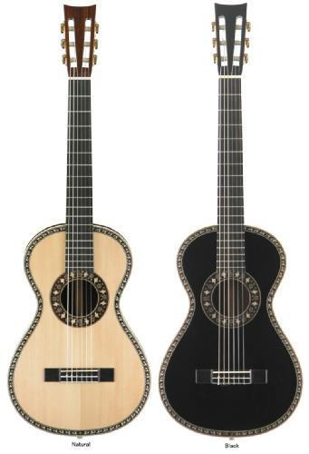 19世紀スタイルギター「A19Cシリーズ」新発売！ | 【大谷楽器】Guitar