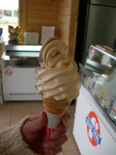 DSCN0520.JPG