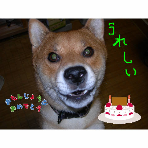 サンタ2歳記念.JPG