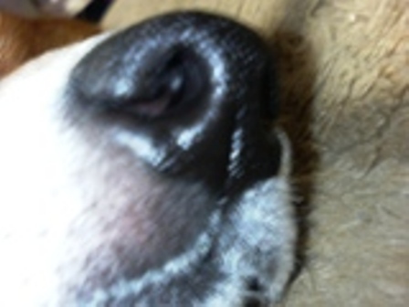 P1000019.JPG