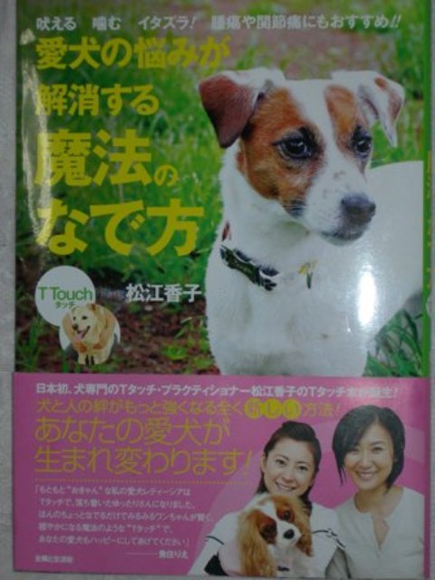 DSCN0428.JPG