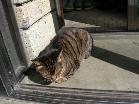 DSCN0439.JPG