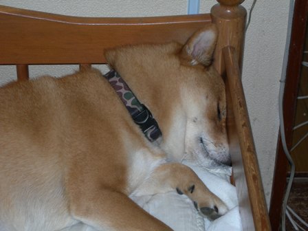 DSCN0497.JPG