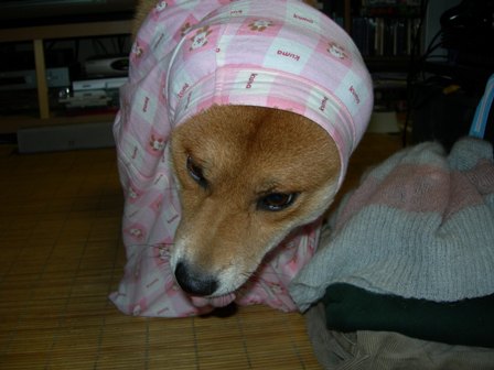 DSCN0462.JPG