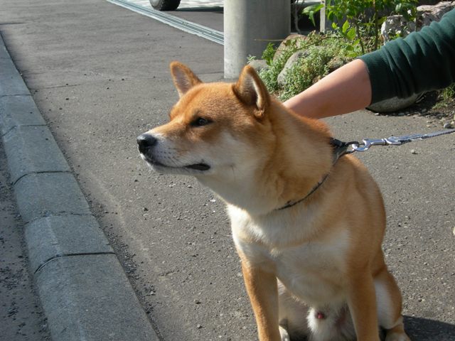 DSCN0442.JPG