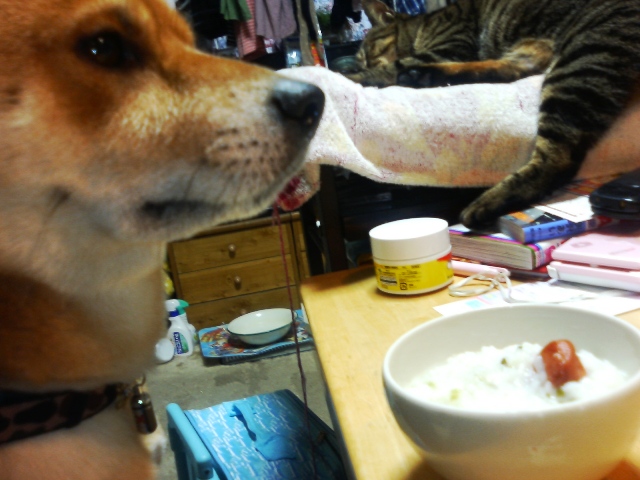P1000005.JPG