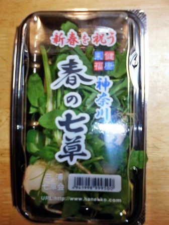 P1000006_edited-2.jpg